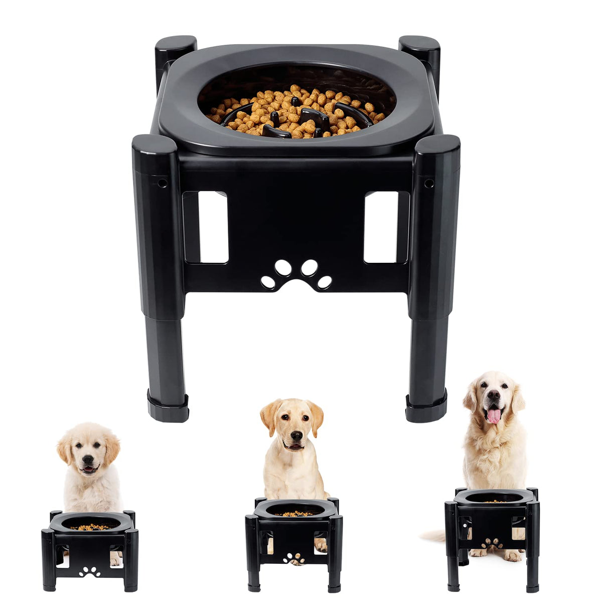 Pawque Elevated Slow Feeder Bowls setup demonstrates adjustable height for growing pets.