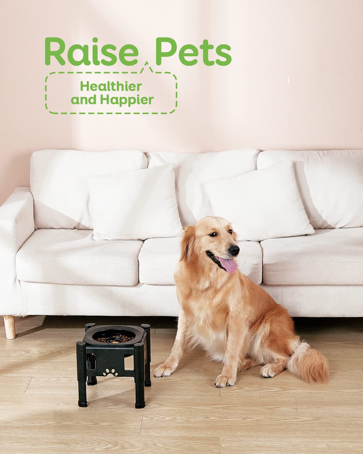 Pawque standalone design keeps water and food separate for tidier feeding.