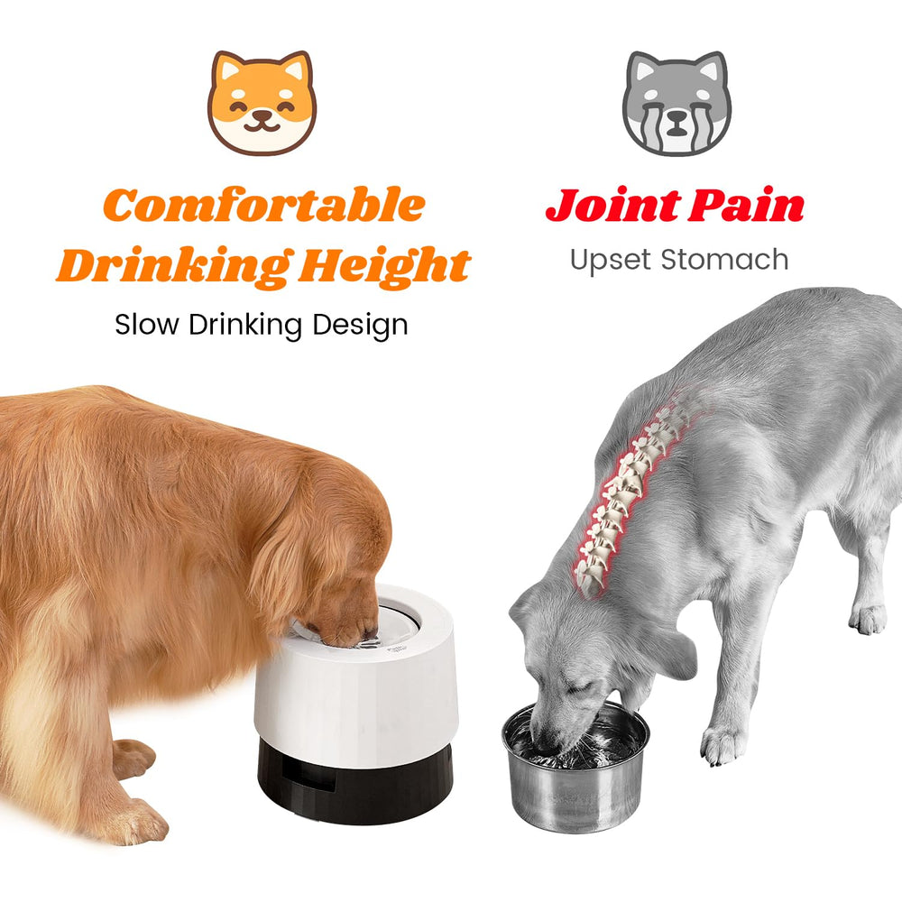Pawque raised 95oz spill-proof ring keeps the area tidy