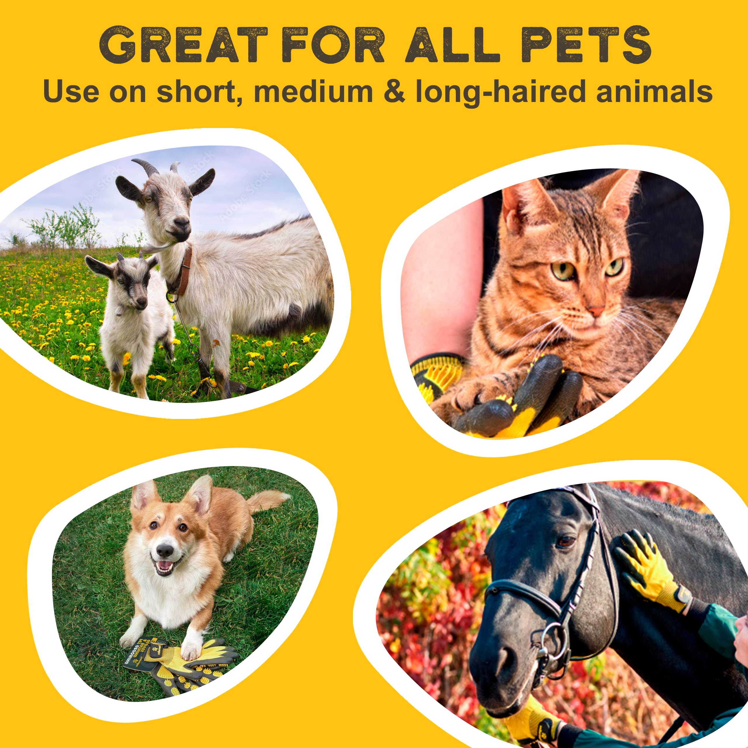 Pawradise gloves used on dogs, cats, and horses for versatile fur care.