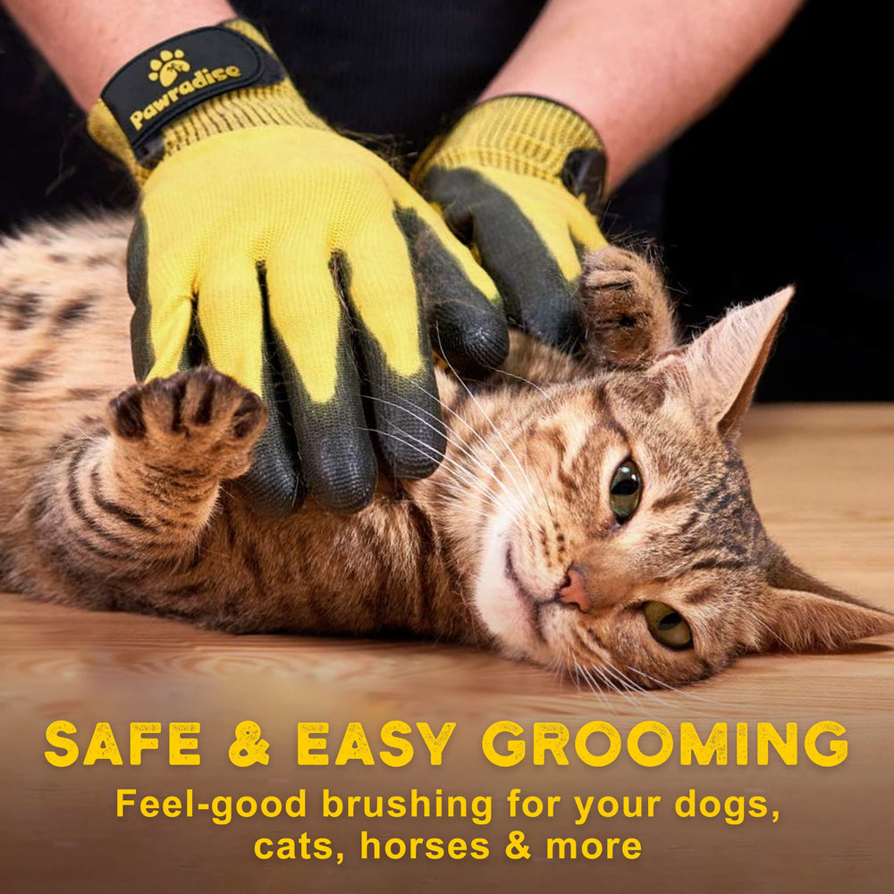 Pawradise during bath time adds brushing and massage benefits.