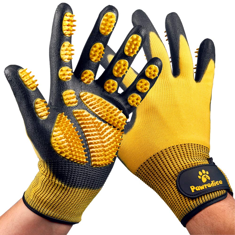 Pawradise grooming gloves on hand for comfortable deshedding of cats and dogs.