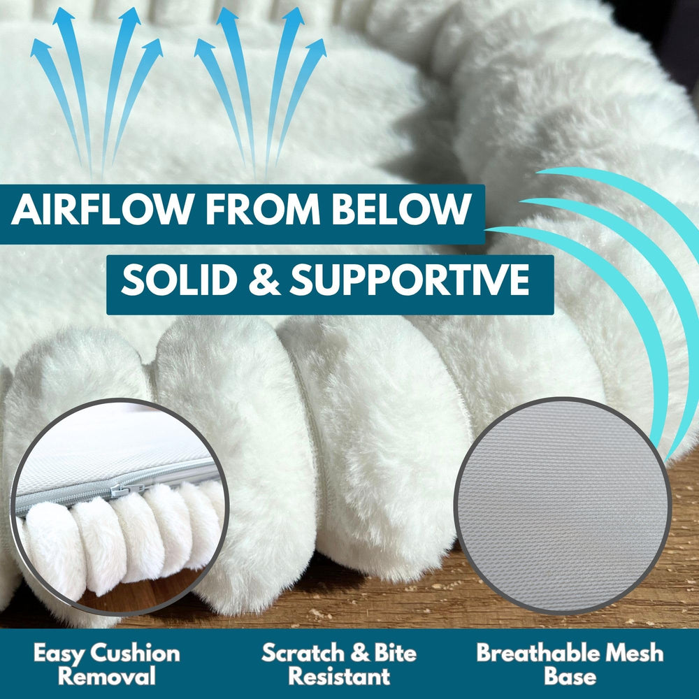 PAWRUSH cat window perch easy-assembly for quick setup anywhere