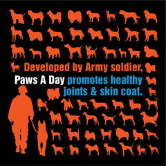 Paws A Day glucosamine dog hip joint activity shows improved mobility.