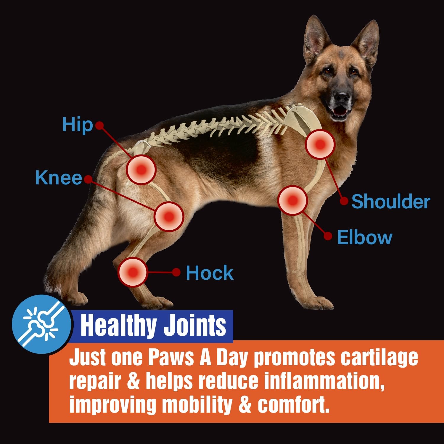 Paws A Day glucosamine dog size breed packaging indicates suitability for all sizes.