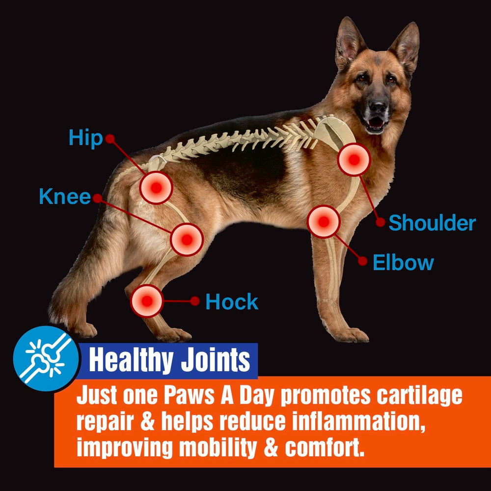 Paws A Day glucosamine dog size breed packaging indicates suitability for all sizes.