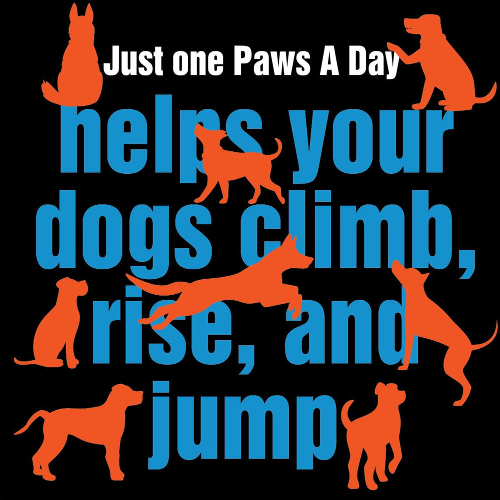 Paws A Day glucosamine dog skin coat shine illustrates inside-out nourishment.