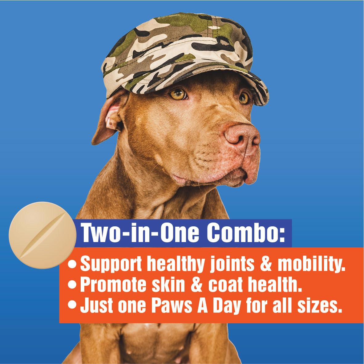 Paws A Day glucosamine omega-3 fats image hints at skin nourishment.
