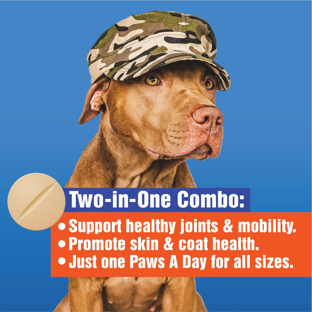 Paws A Day glucosamine omega-3 fats image hints at skin nourishment.