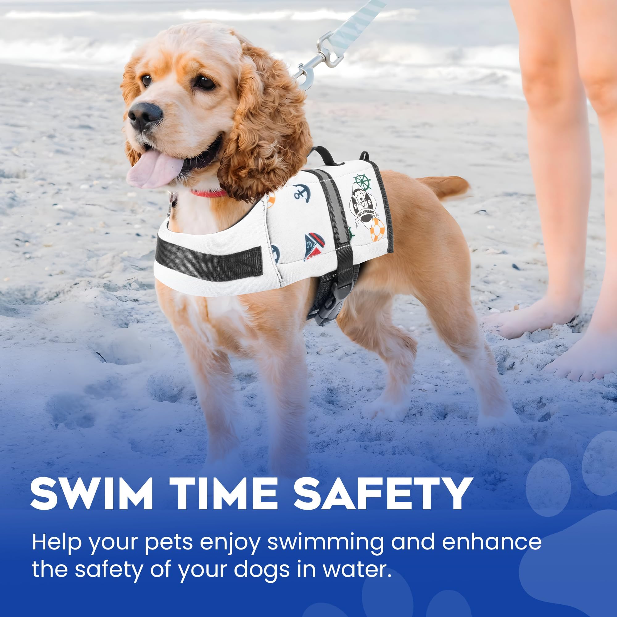 Paws Aboard breathable mesh belly keeps dogs cool during warm-water adventures