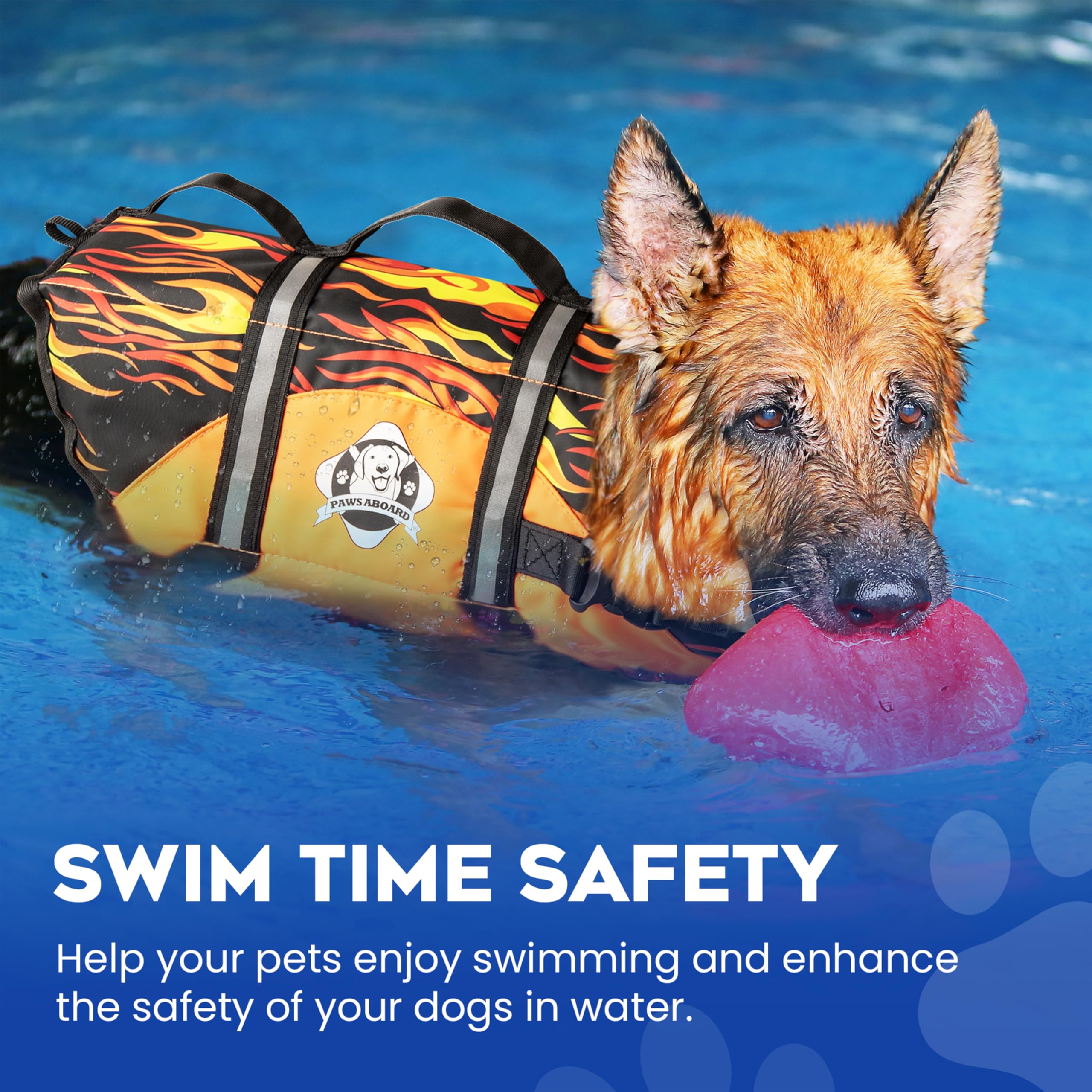Paws Aboard breathable mesh belly keeps dogs cool during play