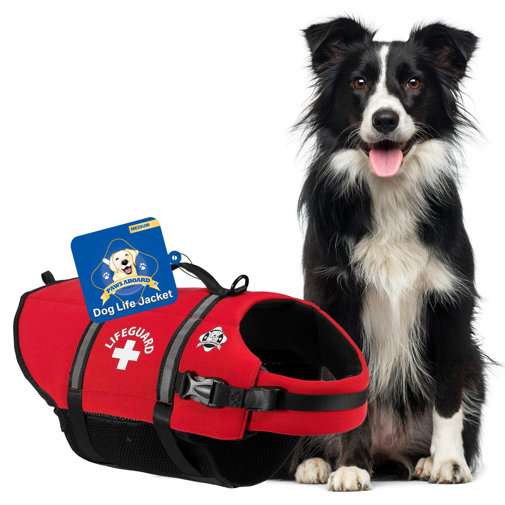 Paws Aboard life jacket red front view highlights safety color for water adventures