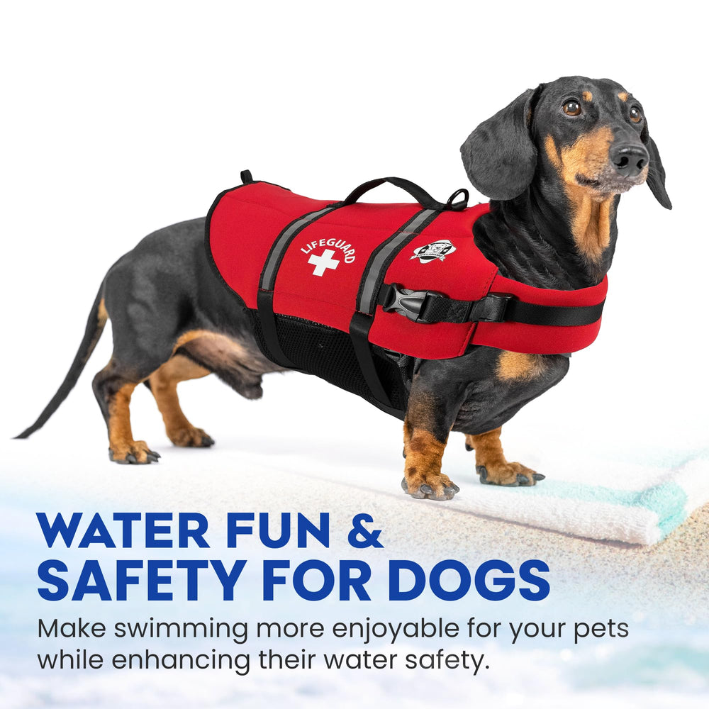 Paws Aboard life jacket size range and patterns fit many breeds with personality