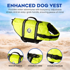 Paws Aboard life jacket with reflective strips improves low-light safety.