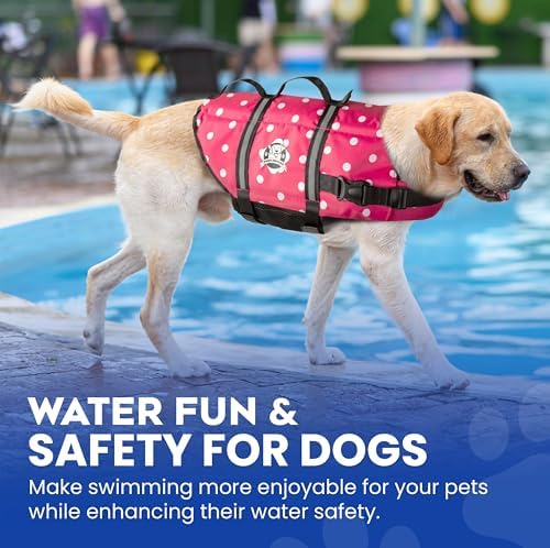 Paws Aboard quick-release buckles enable fast on-off during adventures