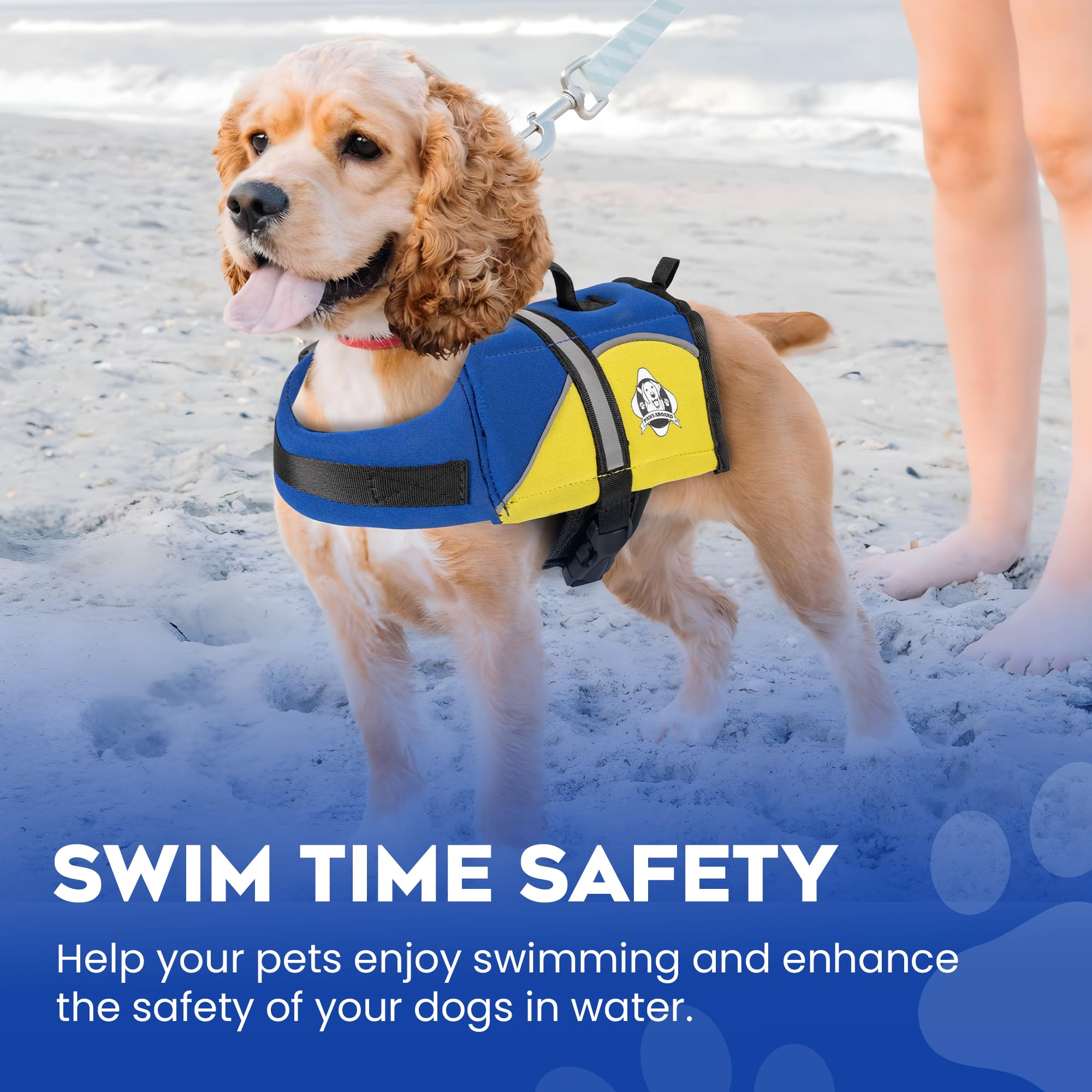 Paws Aboard reflective strips improve visibility in low-light water activities.