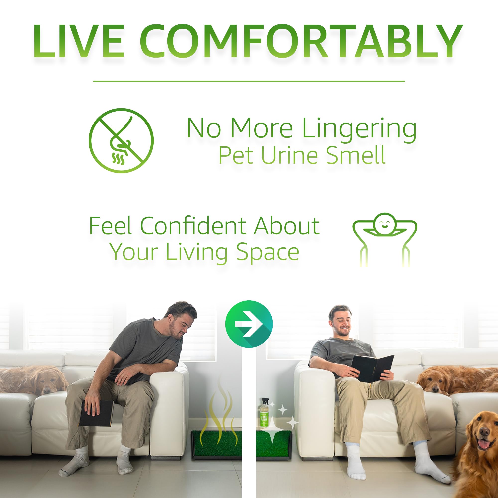 Paws and Play Dog odor elimination graphic emphasizes fresh outdoor spaces