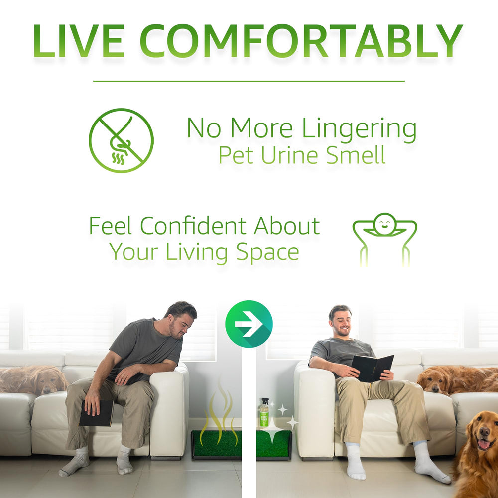 Paws and Play Dog odor elimination graphic emphasizes fresh outdoor spaces
