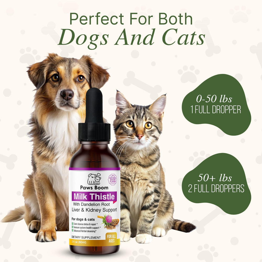 Paws Boom kidney-support illustration showing vet-formulated blend for kidney health.
