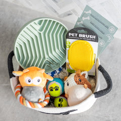 Paws For Reaction silicone slow feeder bowl — promotes mindful eating for puppies.