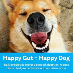 PawSafe Dog Probiotics bottle with chews on counter showing tasty daily ritual.