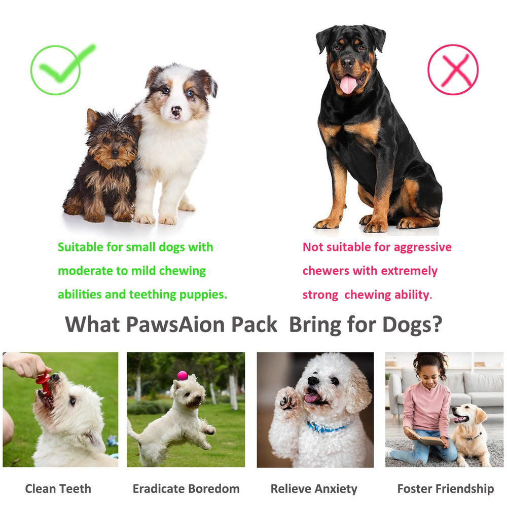 PawsAion storage basket keeps toys organized for quick play.