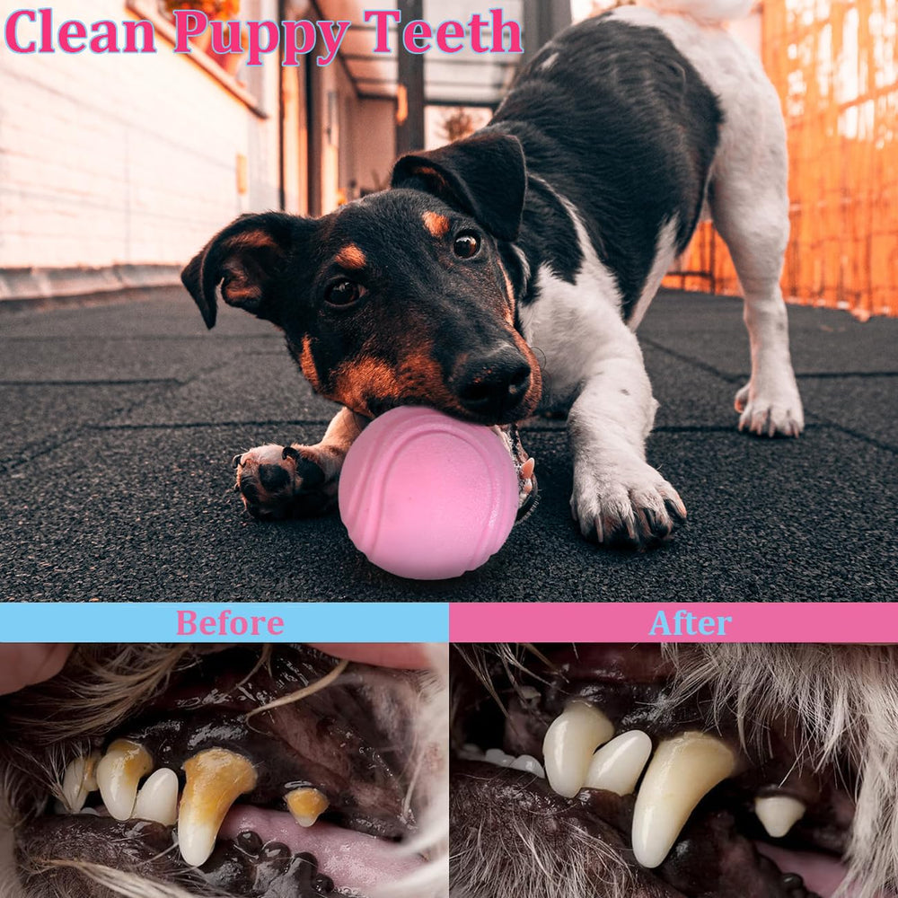 PawsAion teething rings and foam shapes soothe during teething.