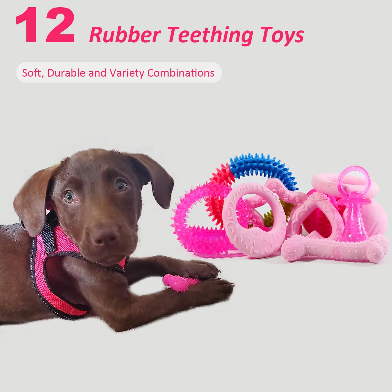 PawsAion treat dispenser ball to reward fetch and mental stimulation.