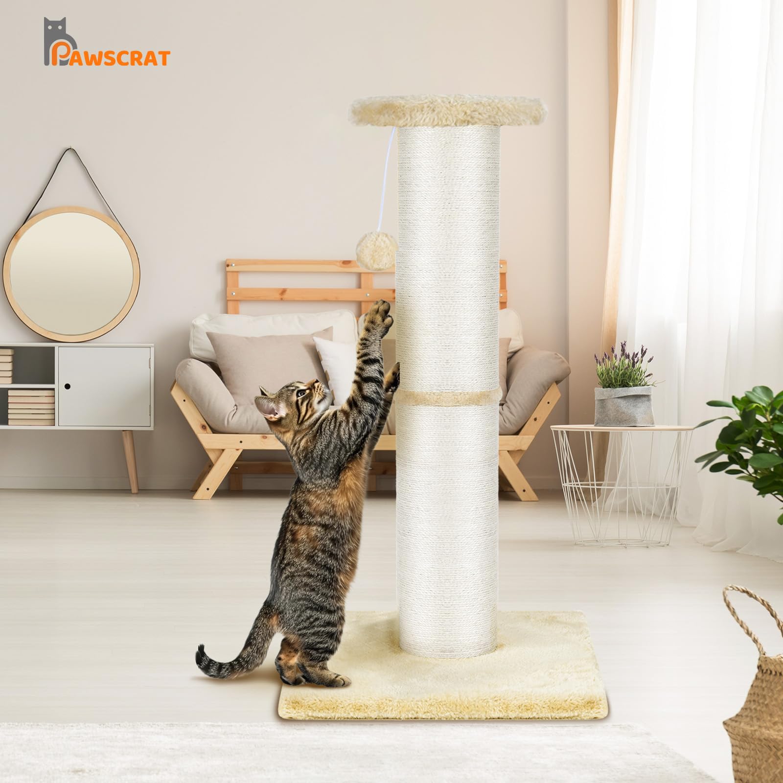 PAWSCRAT customer care and after-sales support for a confident shopping experience.