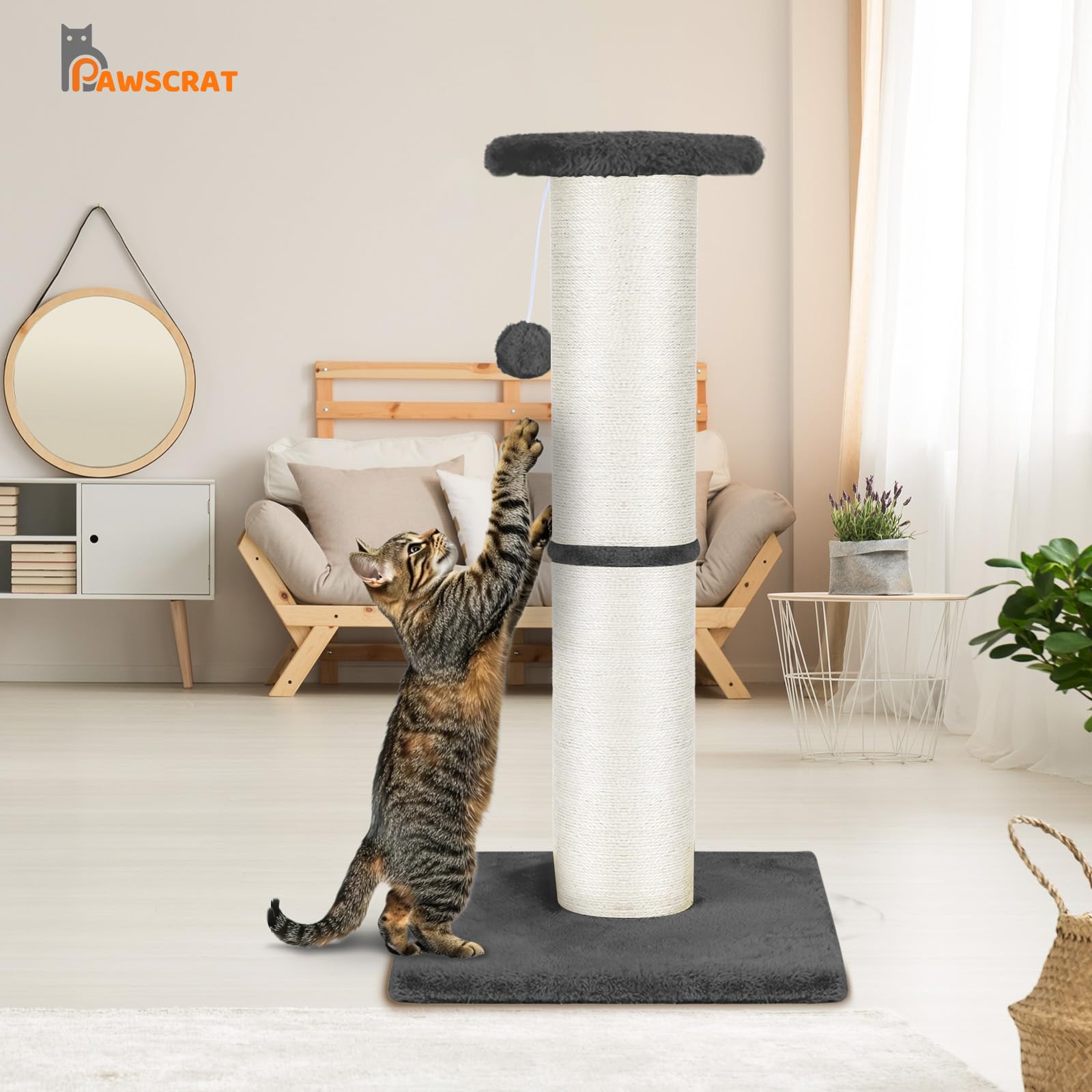 PAWSCRAT reliable after-sales support helps when you need assistance