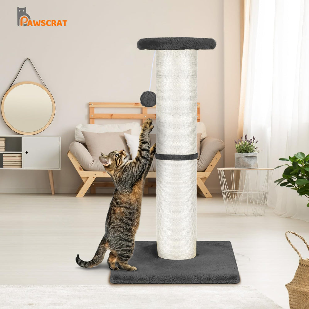 PAWSCRAT reliable after-sales support helps when you need assistance