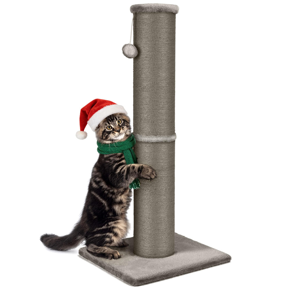 PAWSCRAT cat scratching post 32-inch base offers extra stability during high-energy scratching.