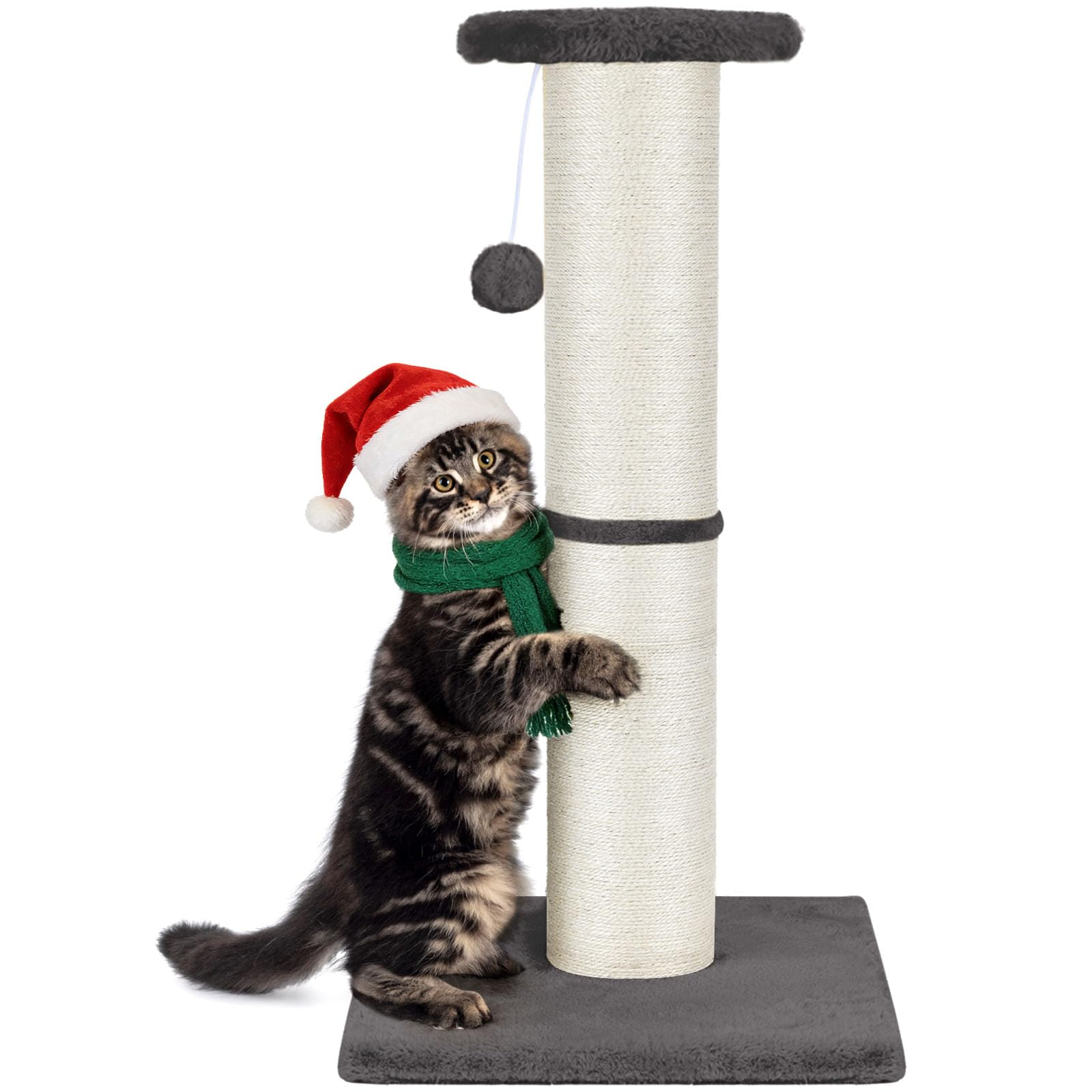 PAWSCRAT cat scratching post 32 inches tall for extended scratching and stretching