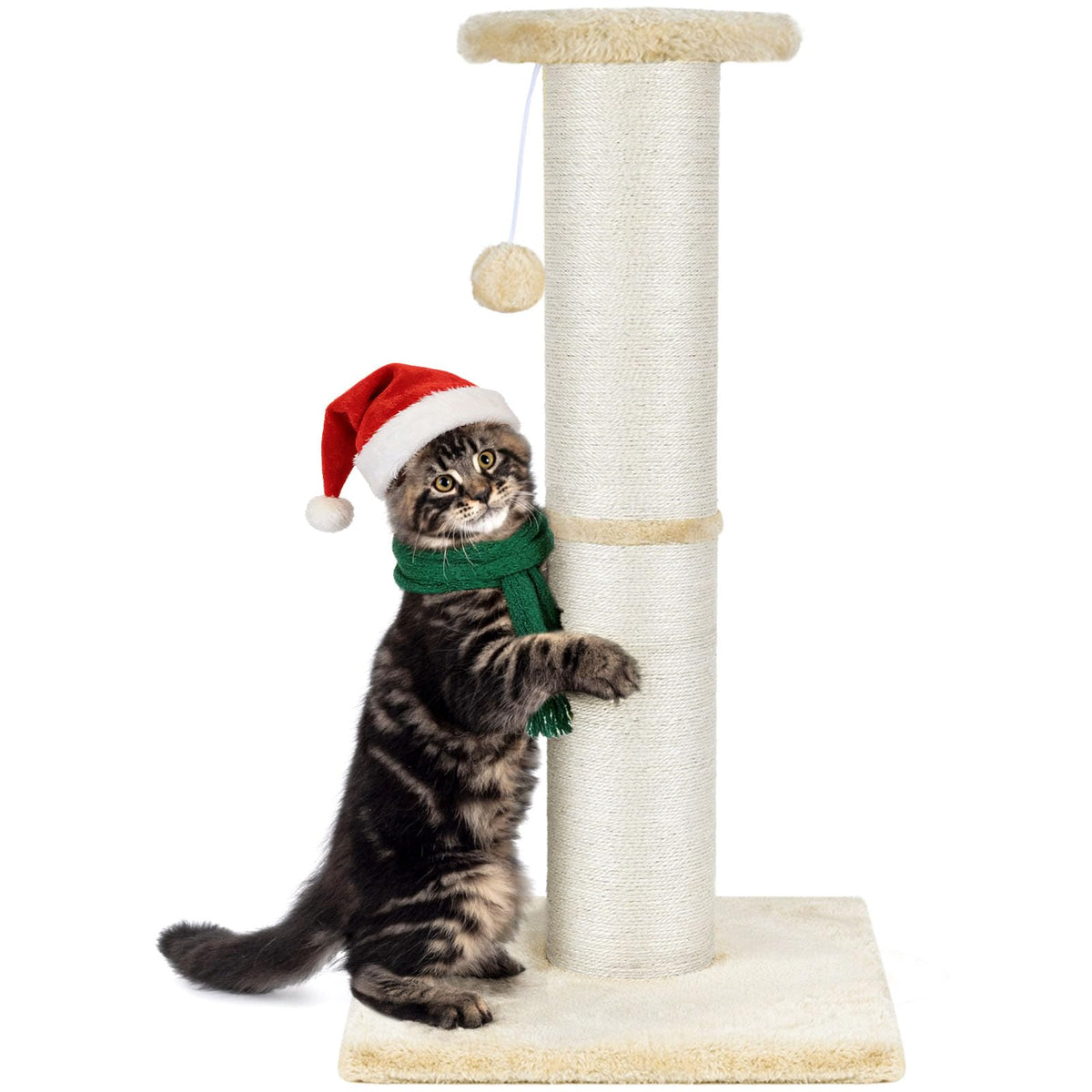 PAWSCRAT cat scratching post 32in tall provides sturdy scratching space and furniture protection.