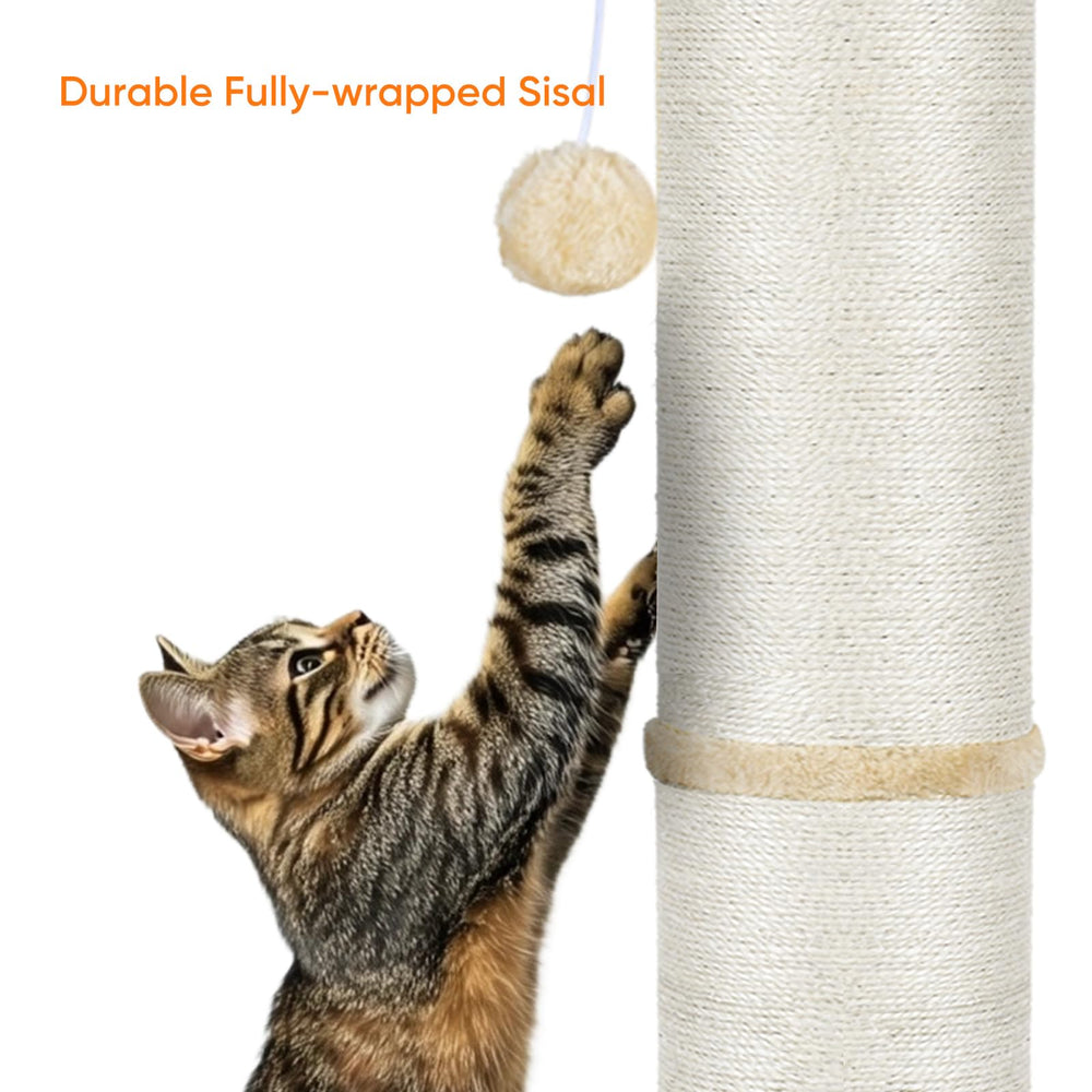 PAWSCRAT dangling balls provide interactive play to keep cats engaged and active.