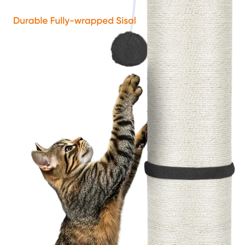 PAWSCRAT dangling balls provide interactive play during feline sessions