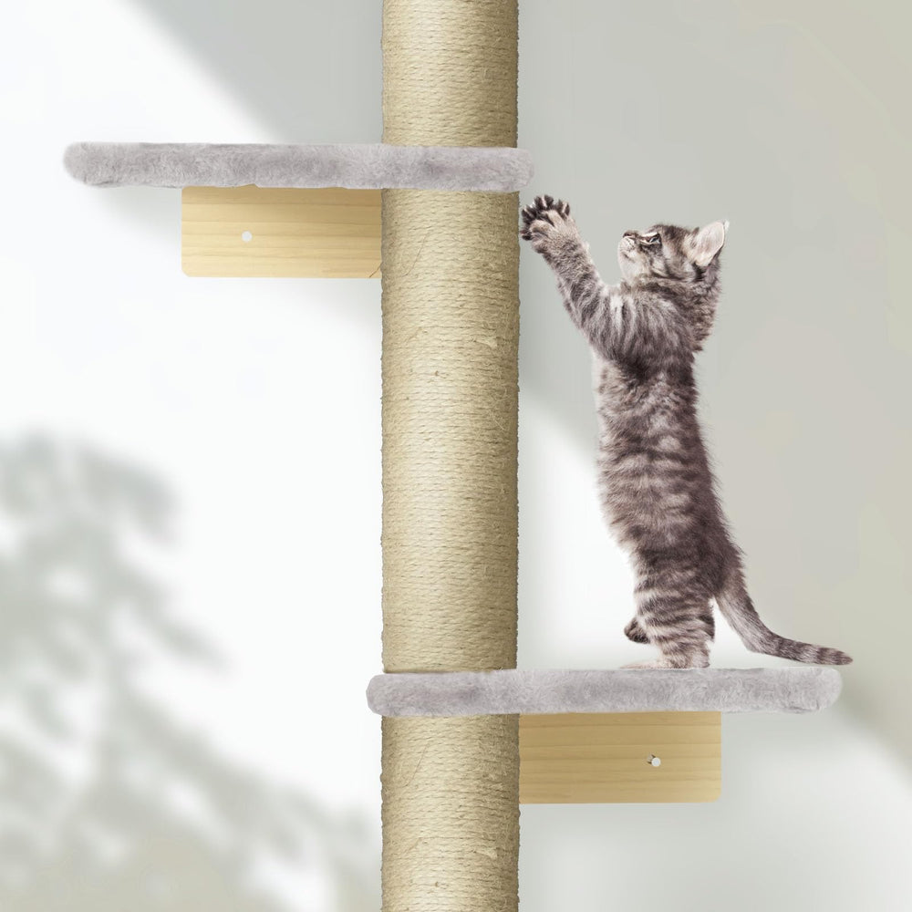 PAWSCRAT grey finish blends with modern homes and cat-friendly play area.