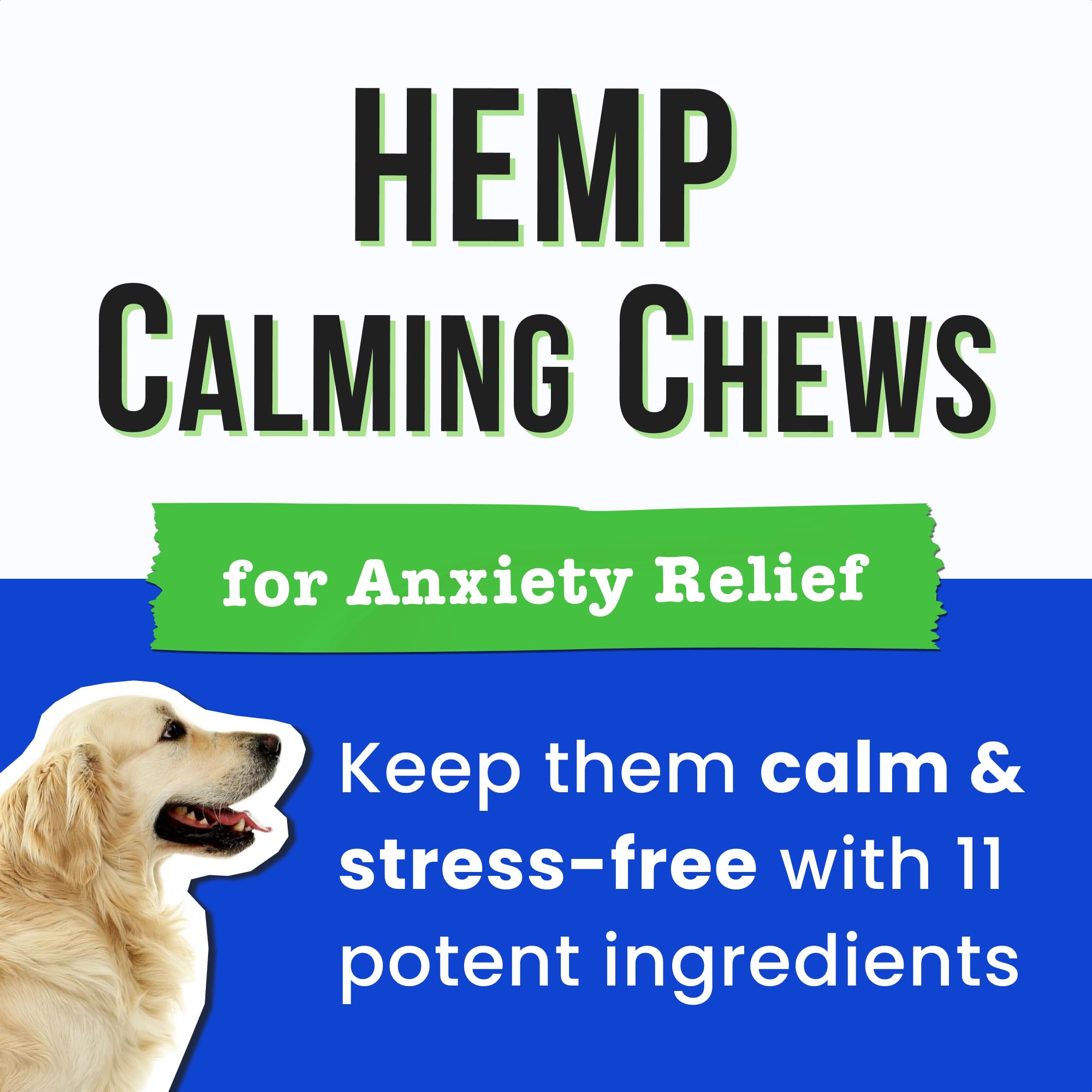 Pawsential Advanced Hemp Calming Chews dog-at-ease portrait conveys everyday serenity.
