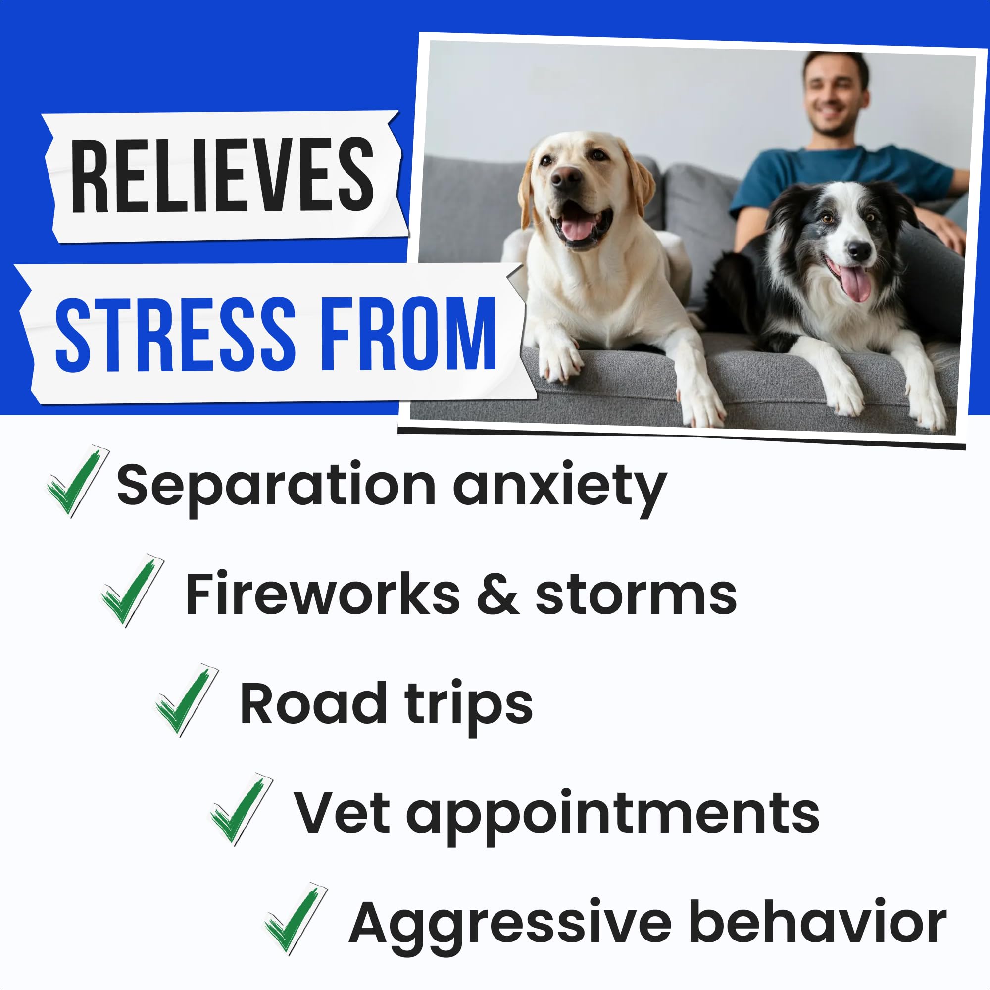 Pawsential Advanced Hemp Calming Chews label closeup highlights clean ingredients and no artificial additives.
