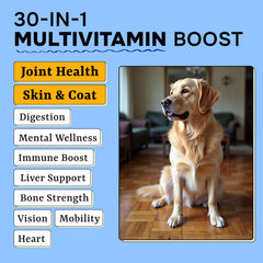 Pawsential gut health probiotics chews support digestion and stool regularity