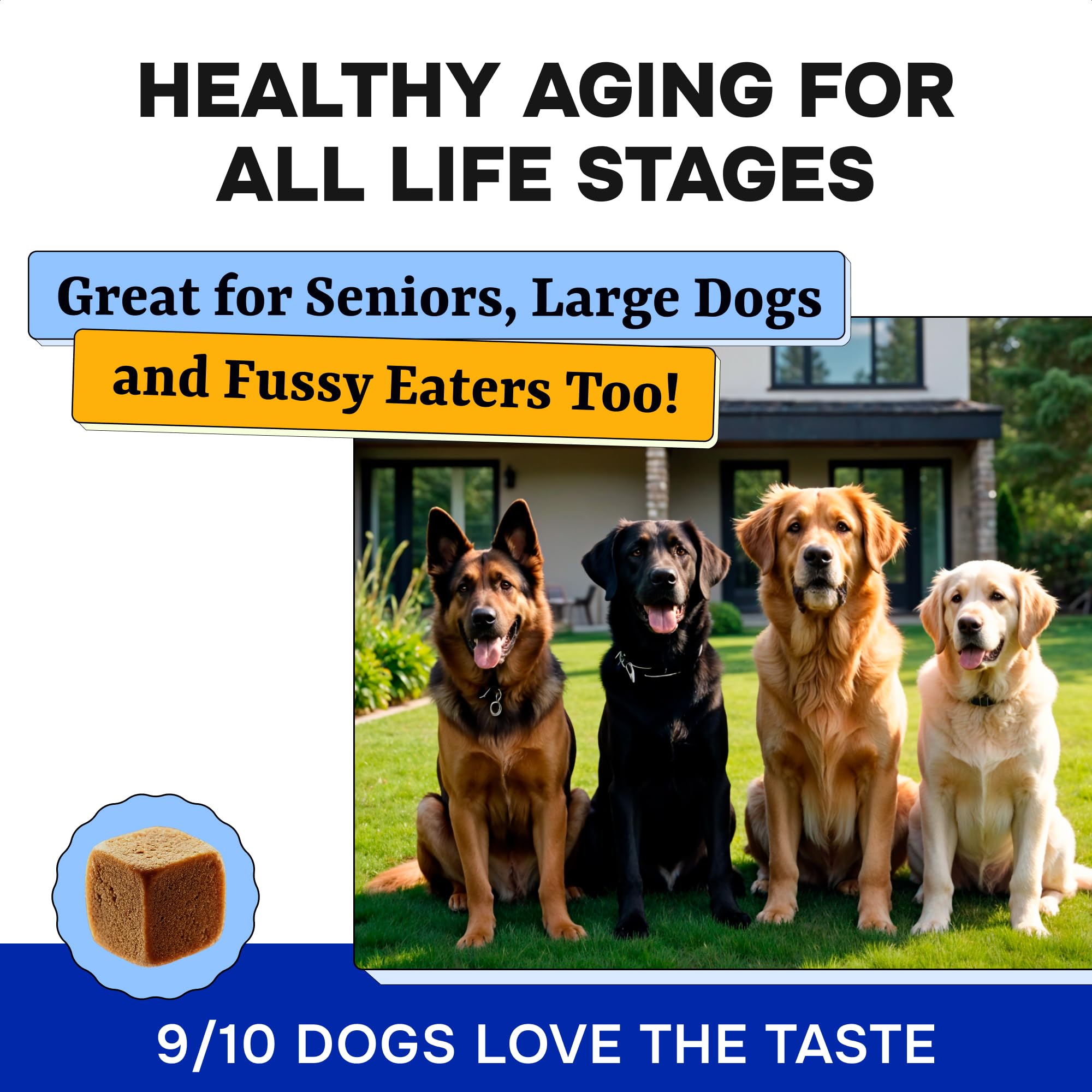 Pawsential omega formula chews deliver essential fatty acids for coat and heart