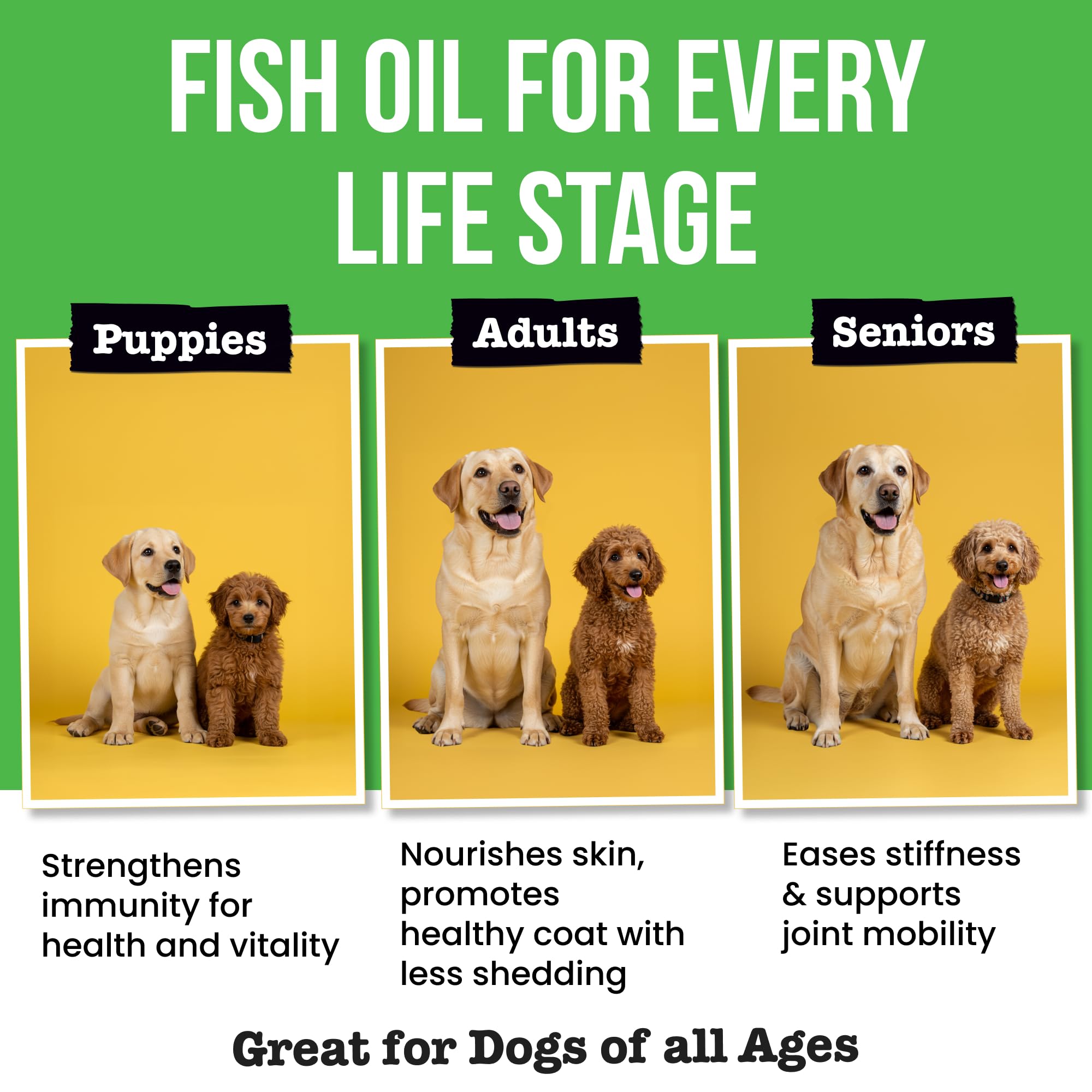 Pawsential fish oil being mixed with pet food demonstrates easy integration