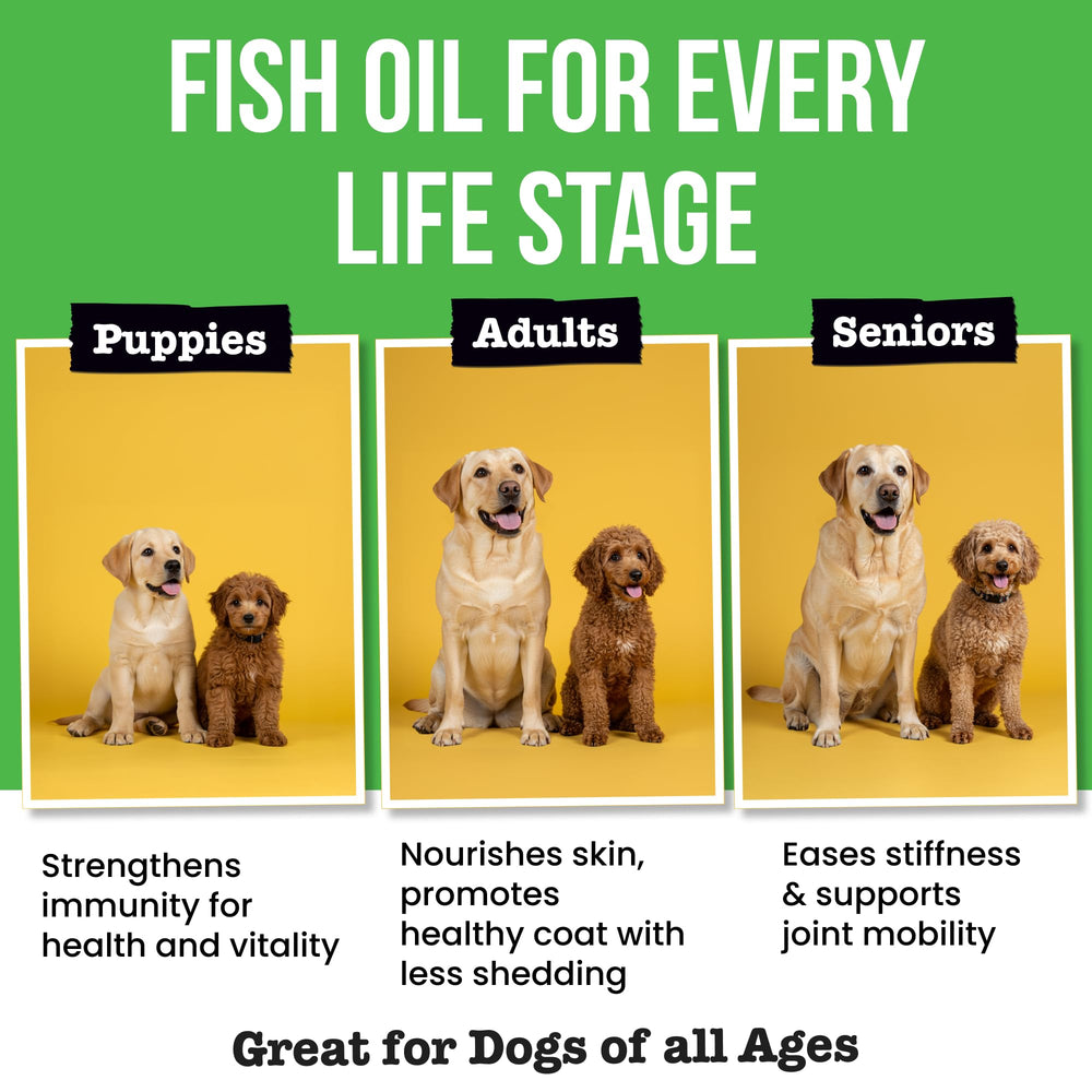 Pawsential fish oil being mixed with pet food demonstrates easy integration