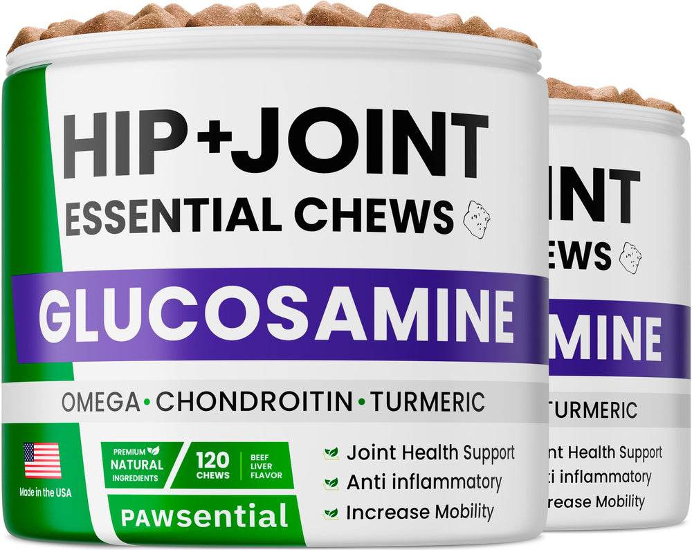 Pawsential glucosamine chews in a bowl support dog joint health with tasty daily treats