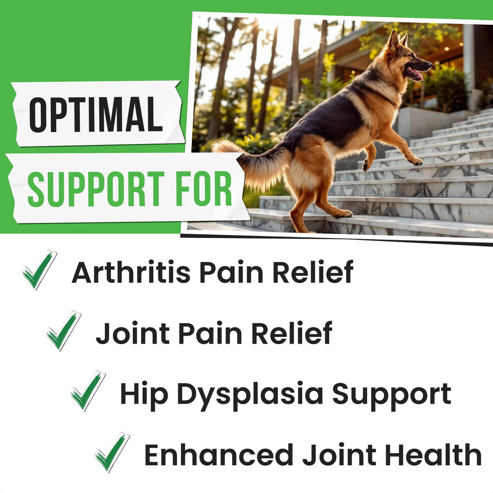 Pawsential glucosamine for large-breed dogs demonstrates durable chews for mobility