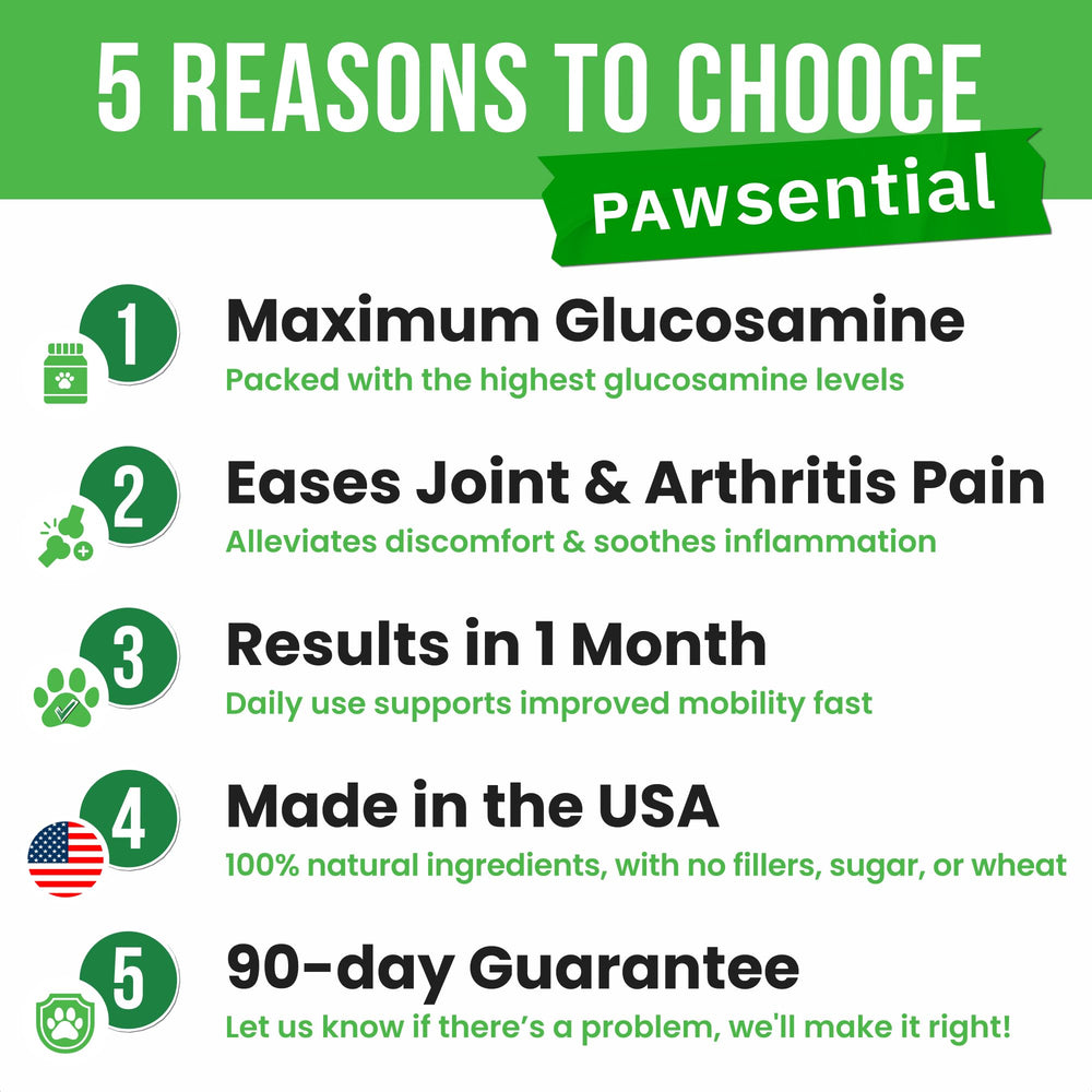 Pawsential glucosamine USA-made vet-approved label signals trusted joint health