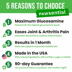 Pawsential glucosamine USA-made vet-approved label signals trusted joint health