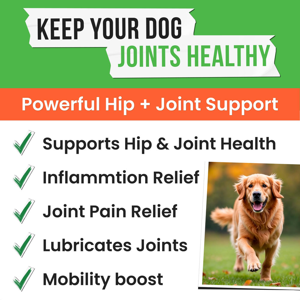 Pawsential hemp treats glucosamine chondroitin: supports joint health with formula for comfort