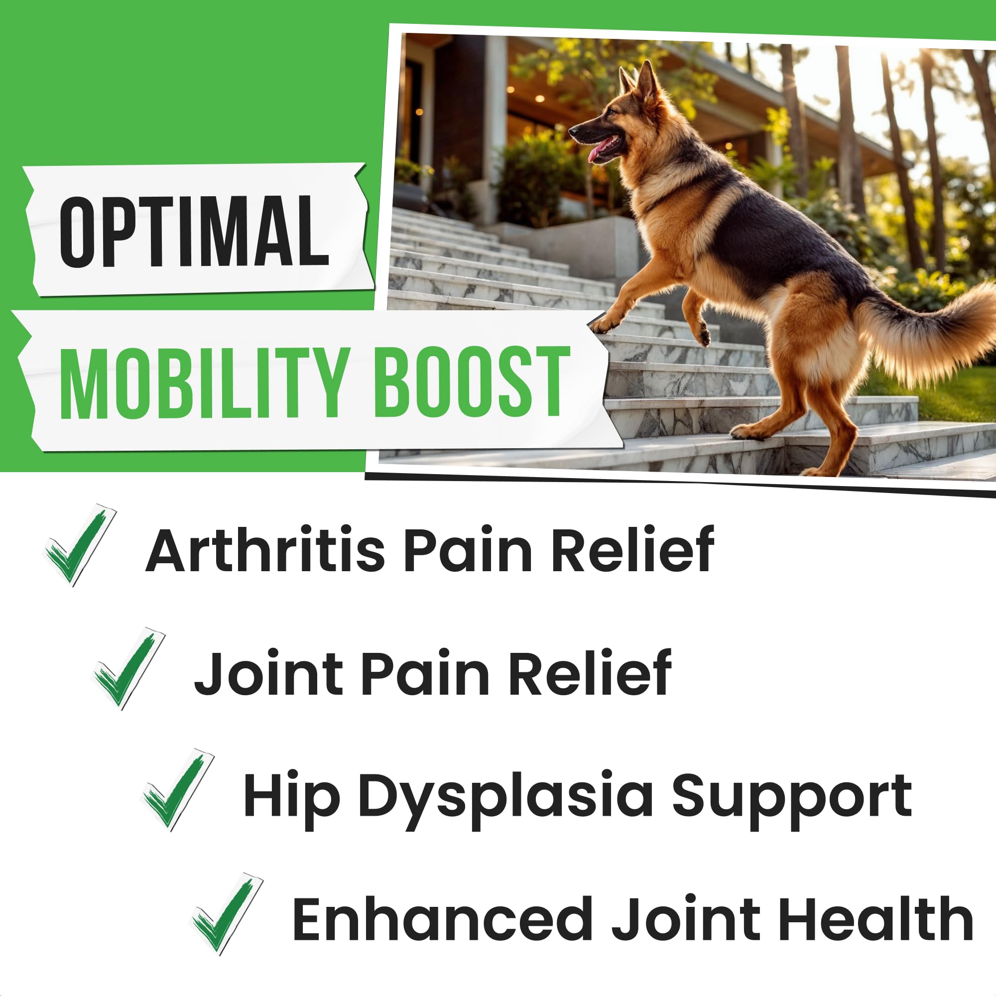 Pawsential hemp treats senior dog: senior-friendly joint support treats promoting comfort and flexible movement