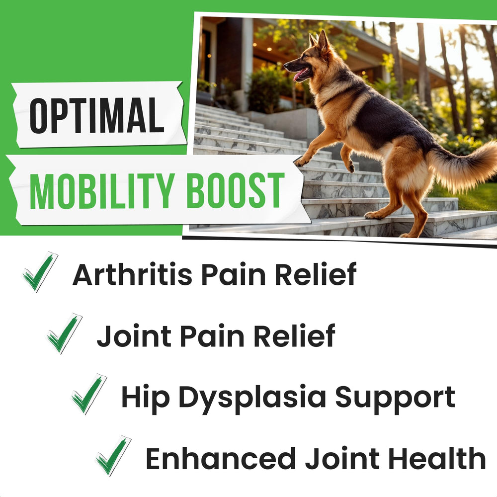 Pawsential hemp treats senior dog: senior-friendly joint support treats promoting comfort and flexible movement